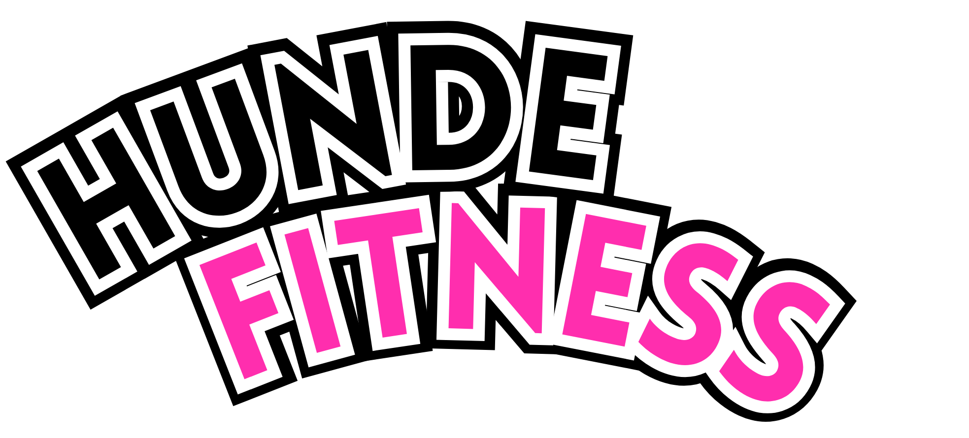 Verein für Hundefitness Schweiz