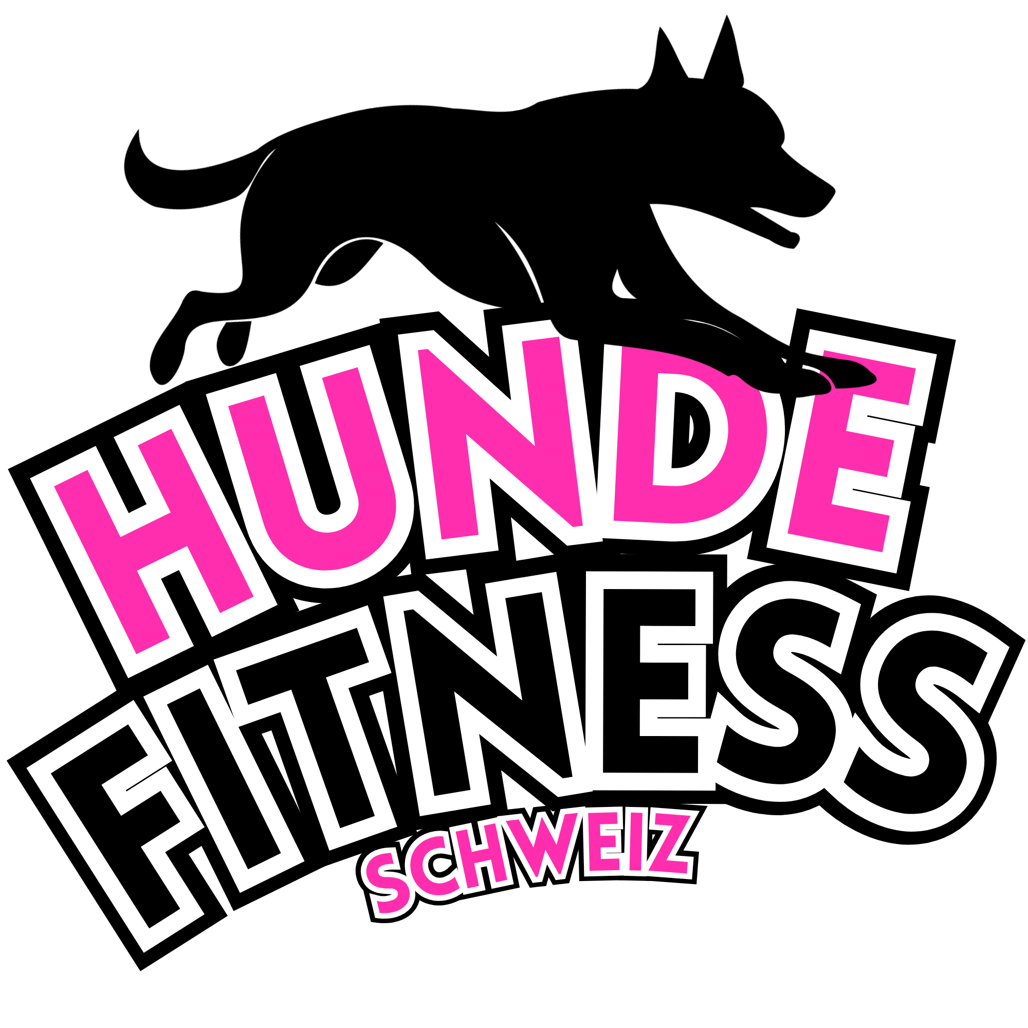 LogoHundefitnessSchweiz_squareCH